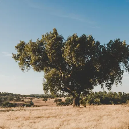 Quinta De Santa Teresa * Lagoa (Algarve)