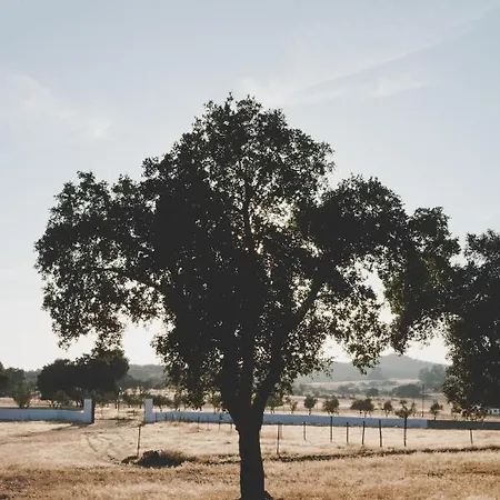 Quinta De Santa Teresa Villa