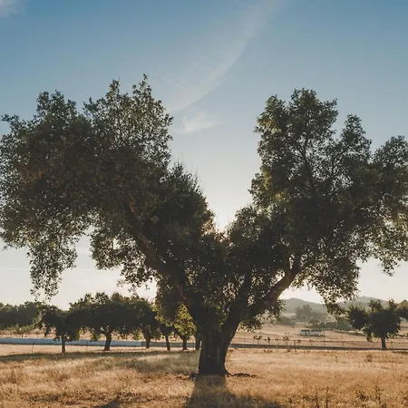 Villa Quinta De Santa Teresa *